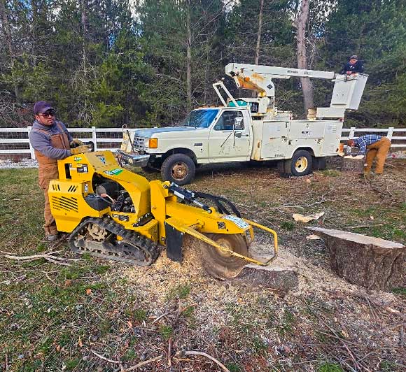 Messer-Lawn-Care-Home-Image2 Messer Lawn Care Landscape stump grinding