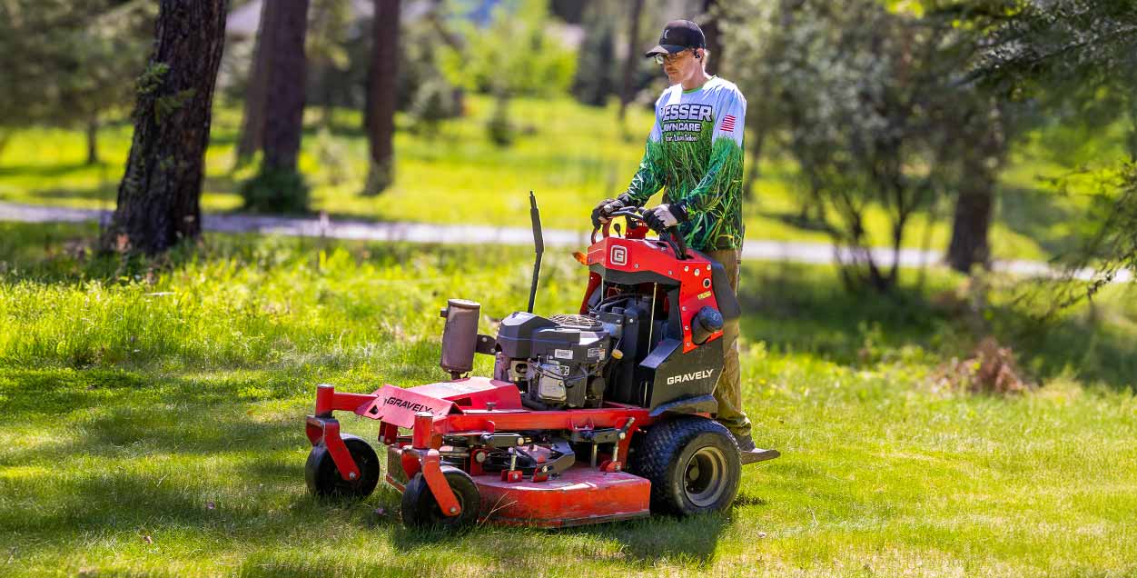 Lawn Maintenance