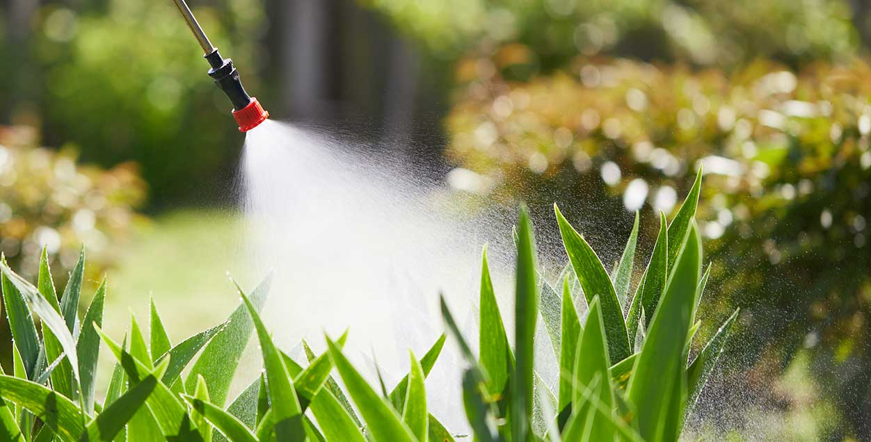 Landscaping and Curbing