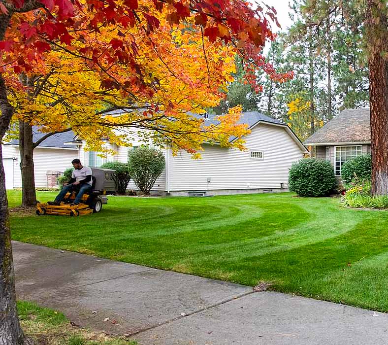 Lawn-maintenance-small-photo1 mowing lawn