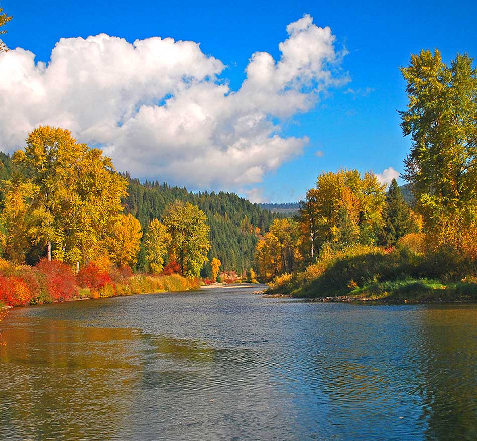 North-Idaho-Roots north idaho scenery